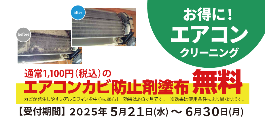 キャンペーン