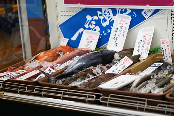 綿半魚類一宮漁港